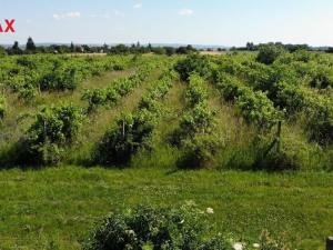 Prodej komerčního pozemku, Brno, 2465 m2