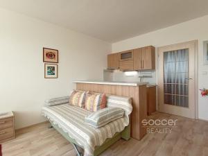 Pronájem bytu 1+kk, Praha - Hostivař, Hostivařská, 29 m2