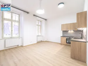 Pronájem bytu 1+kk, Plzeň, Americká, 59 m2