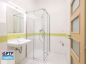 Pronájem bytu 1+kk, Plzeň, Americká, 59 m2