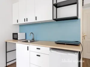 Pronájem bytu 1+kk, Praha - Vršovice, Černomořská, 18 m2