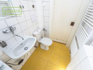 Pronájem bytu 2+kk, Praha - Žižkov, Biskupcova, 37 m2
