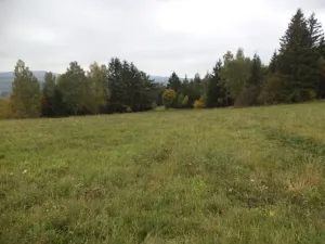Dražba louky, Vlastiboř, 23043 m2