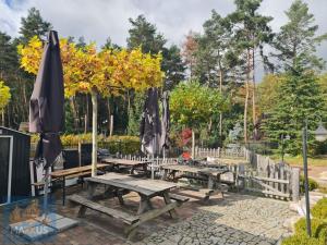 Pronájem restaurace, Praha - Horní Měcholupy, K Měcholupům, 60 m2