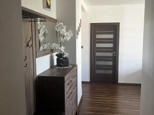 Prodej bytu 2+1, Havířov, Dlouhá třída, 54 m2