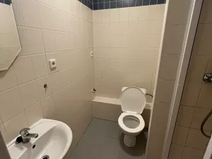 Pronájem bytu 1+kk, Praha - Stodůlky, Zvoncovitá, 31 m2
