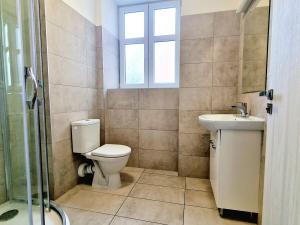 Pronájem bytu 2+kk, Brno, Provazníkova, 46 m2