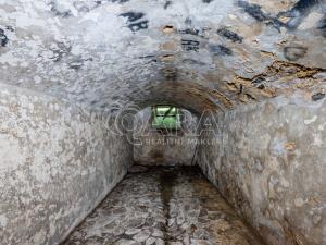 Prodej vícegeneračního domu, Žandov - Radeč, 250 m2