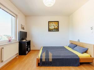 Prodej bytu 1+kk, Říčany, Purkyňova, 28 m2