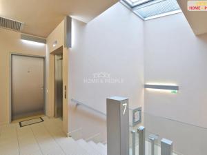 Prodej bytu 4+kk, Praha - Žižkov, Prokopova, 237 m2