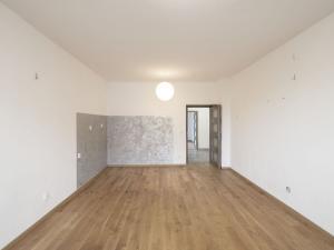 Pronájem bytu 1+1, Praha - Nusle, Na Jezerce, 56 m2
