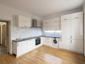 Pronájem bytu 1+1, Praha - Nusle, Na Jezerce, 56 m2