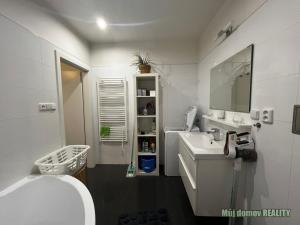 Pronájem bytu 2+1, Praha - Nové Město, Spálená, 73 m2