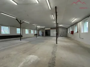 Pronájem výrobních prostor, Březno - Střezov, 1200 m2