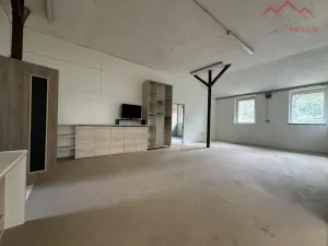 Pronájem výrobních prostor, Březno - Střezov, 1200 m2