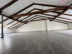 Pronájem výrobních prostor, Březno - Střezov, 1200 m2