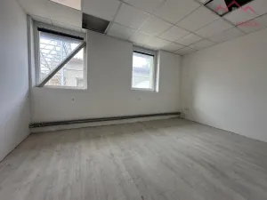 Pronájem výrobních prostor, Březno - Střezov, 1200 m2