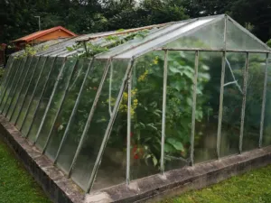 Prodej zahrady, Jihlava - Pístov, 750 m2