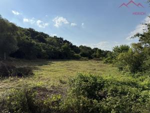 Prodej pozemku pro bydlení, Velemyšleves - Minice, 2241 m2