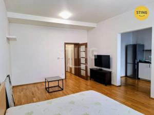 Pronájem bytu 1+1, Brno, Hrnčířská, 43 m2