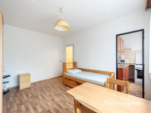 Pronájem bytu 1+1, Praha - Braník, Novodvorská, 26 m2