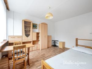 Pronájem bytu 1+1, Praha - Braník, Novodvorská, 26 m2