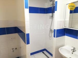 Pronájem bytu 1+1, Přerov, U Tenisu, 39 m2