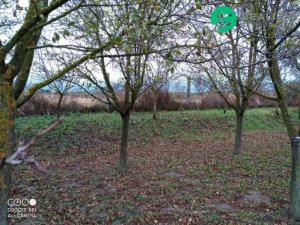 Prodej zahrady, Čejč, U Šlechtitelky, 608 m2