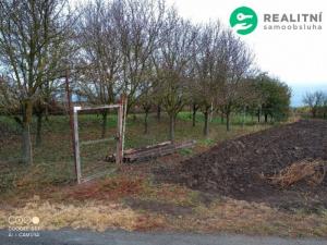 Prodej zahrady, Čejč, U Šlechtitelky, 608 m2