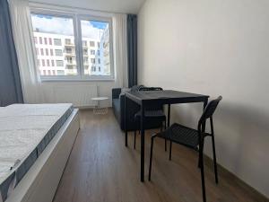 Pronájem bytu 1+kk, Brno, Placzkova, 27 m2