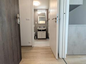 Pronájem bytu 1+kk, Brno, Placzkova, 27 m2