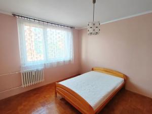 Pronájem bytu 3+1, Hodonín, Sadová, 69 m2