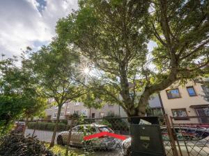 Pronájem bytu 2+kk, Brno - Černovice, Bolzanova, 43 m2