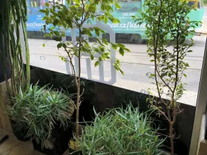 Pronájem obchodního prostoru, Liberec, Mlýnská, 82 m2