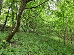 Prodej louky, Lánov - Horní Lánov, 45289 m2