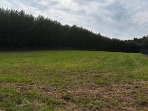 Prodej pozemku pro bydlení, Vratimov, Na Zadkách, 1035 m2