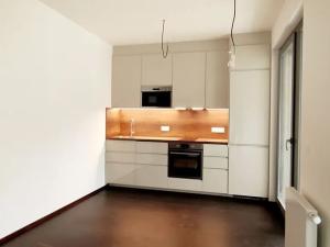 Pronájem bytu 2+kk, Praha - Karlín, Breitfeldova, 60 m2