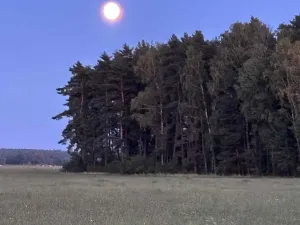 Prodej pozemku pro bydlení, Suchdol nad Lužnicí, 1001 m2