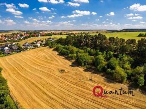 Prodej pozemku pro bydlení, Brandýsek, Nad Kovárnou, 16339 m2
