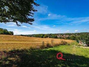 Prodej pozemku pro bydlení, Brandýsek, Nad Kovárnou, 16339 m2