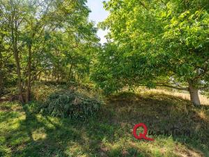 Prodej pozemku pro bydlení, Brandýsek, Nad Kovárnou, 16339 m2