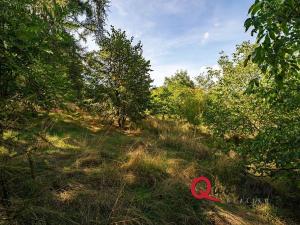 Prodej pozemku pro bydlení, Brandýsek, Nad Kovárnou, 16339 m2