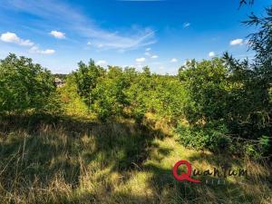 Prodej pozemku pro bydlení, Brandýsek, Nad Kovárnou, 16339 m2