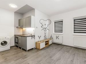 Prodej bytu 1+kk, Lišov, Žižkova, 26 m2