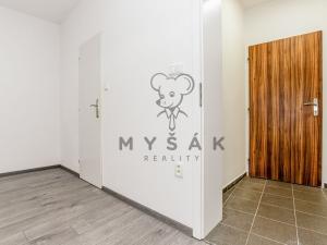 Prodej bytu 1+kk, Lišov, Žižkova, 26 m2