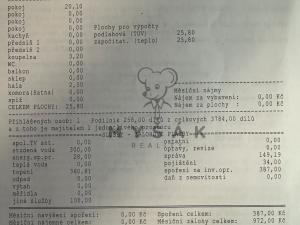 Prodej bytu 1+kk, Lišov, Žižkova, 26 m2