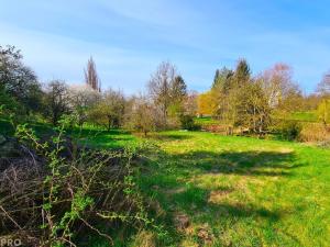 Prodej pozemku pro bydlení, Rousínov, 1256 m2