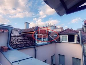 Pronájem bytu 1+1, Olomouc, Šemberova, 54 m2