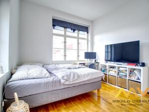 Pronájem bytu 2+kk, Hradec Králové, Ulrichovo náměstí, 50 m2