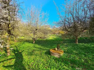 Prodej vícegeneračního domu, Rousínov, Tománkova, 230 m2